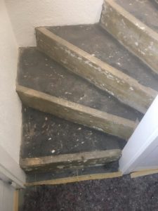 Treppenstufen aus Eiche Landhausdielen in Bocholt